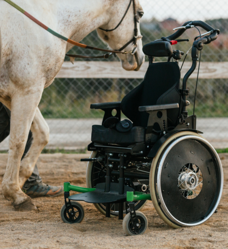 Cheval près d'un fauteuil roulant