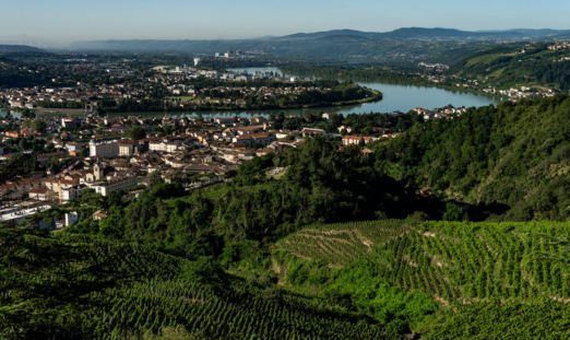 Design sans titre (12)